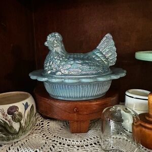 Mosser Georgia Blue carnival Hen on Nest